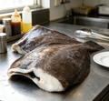 Whole Flounder